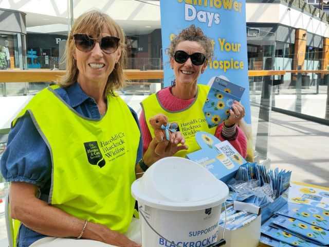 Generosity Shines on Sunflowerdays